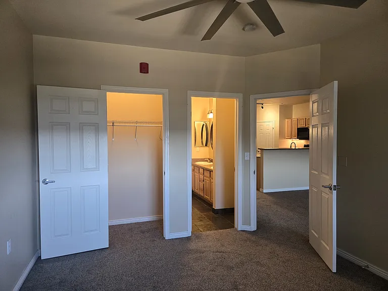 Master bedroom walk-in closet, bathroom, and entry from living area