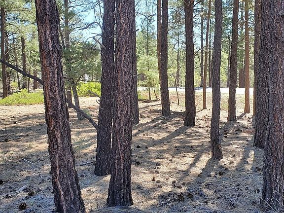 2nd image of 4050 W Flax Ln Lot 435