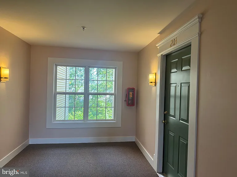 9151 Gracious End Ct #203 — Photo 18