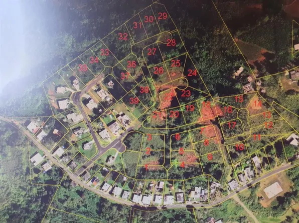 Bo Bayamoncito, Aguas Buenas, PR 00703