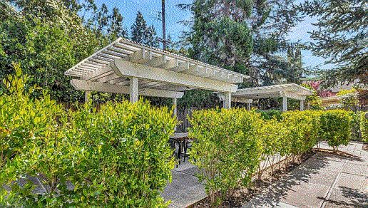 2 gazebos for 4 tenants.