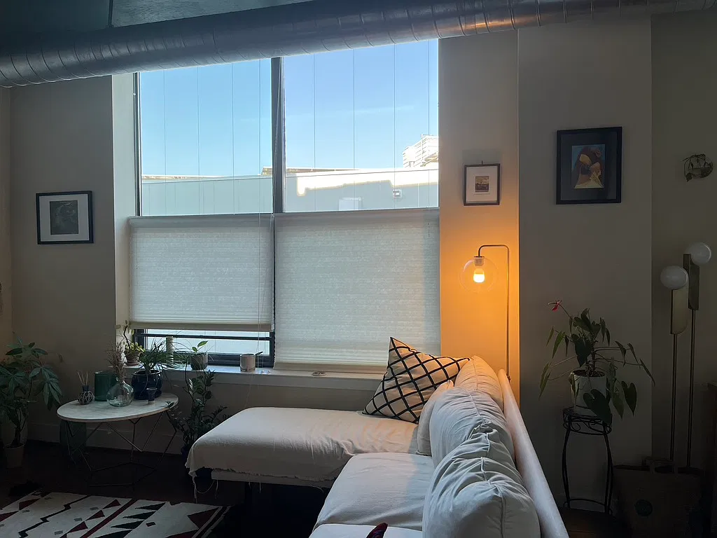 1 bed, 583 sqft, $2,700 — Photo 2