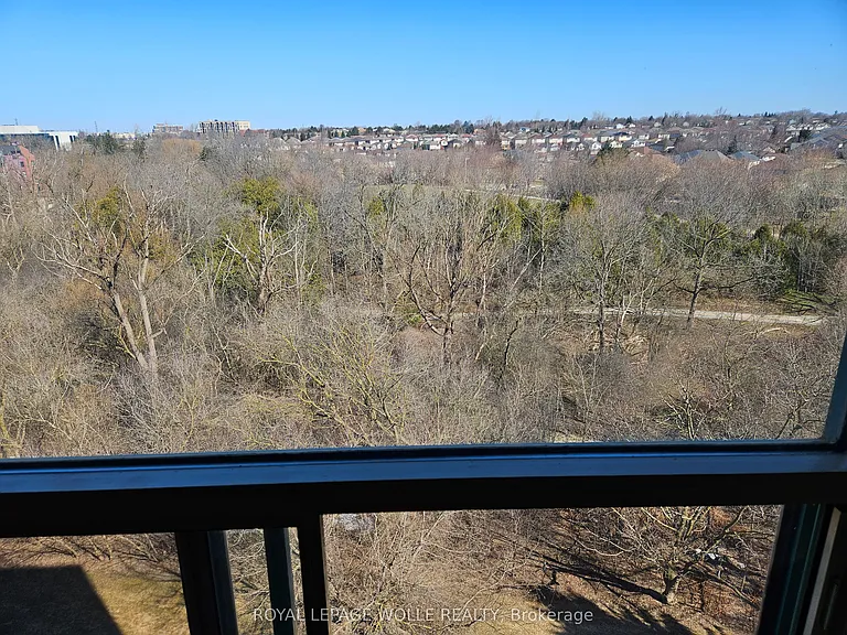 55 Blue Springs Dr #805 — Photo 13