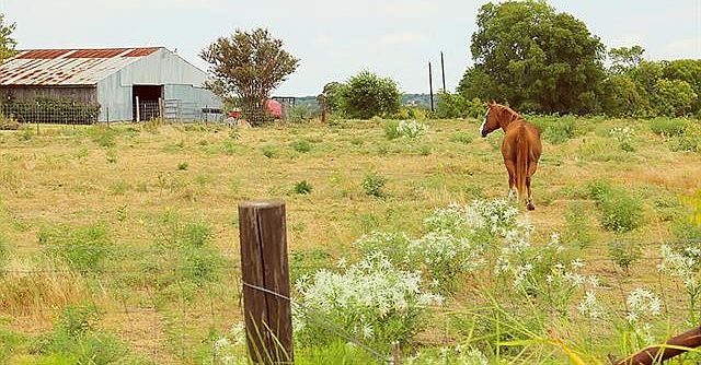 2nd image of 3250 County Road 218