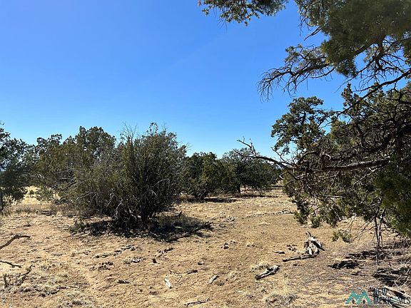 5th image of 89 Ponderosa Dr