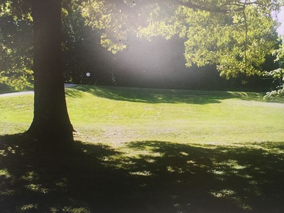 2nd image of 236 Apollo Dr