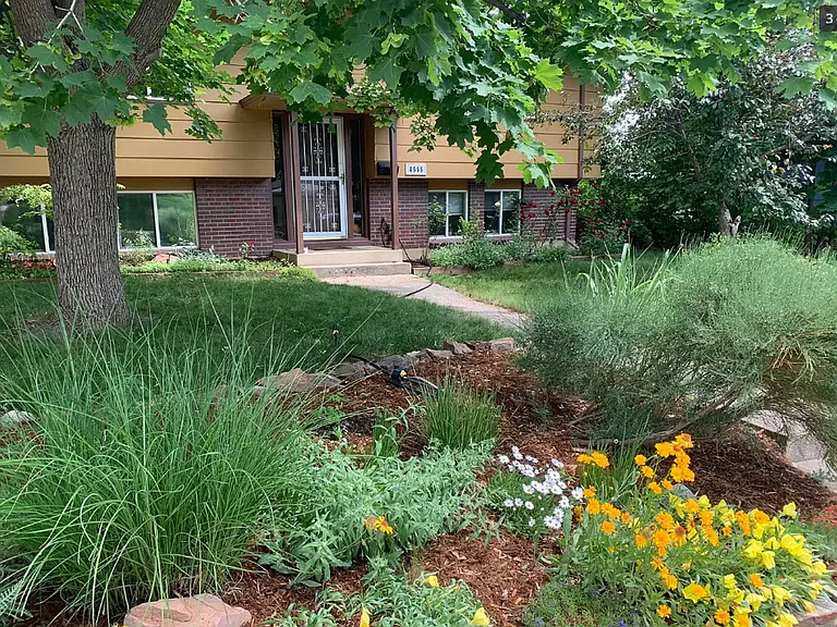 4555 Brookfield Dr — Photo 8