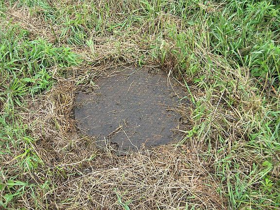  city sewer 1of 3 available 