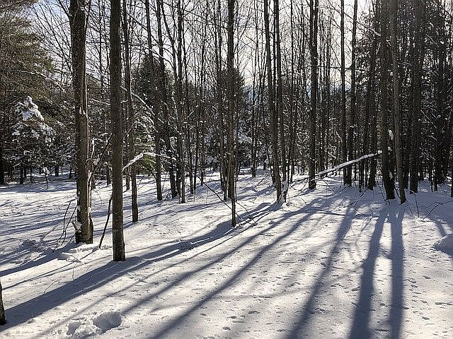 1st image of 0 Deer Run Fawn Hl