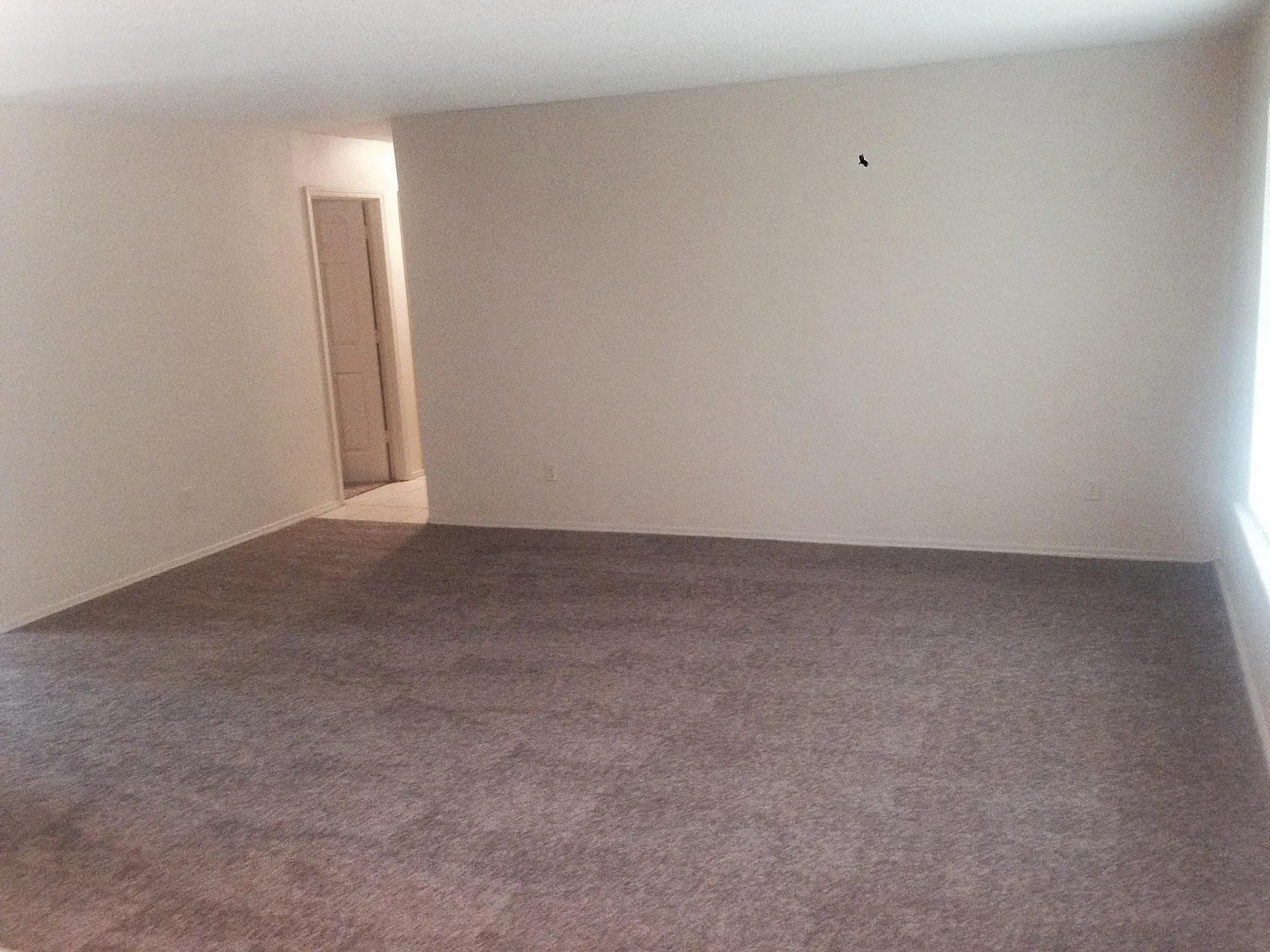 513 E Waco Street — Photo 3