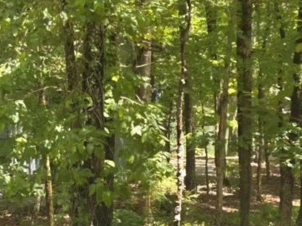 7 Sabiote Way, Hot Springs Village, AR 71909