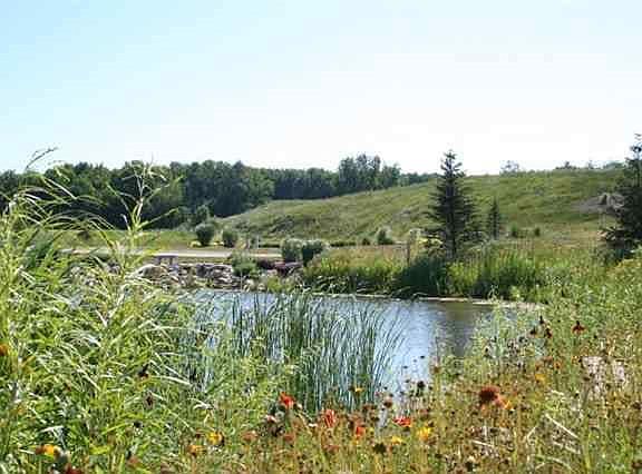 Shadow Lakes