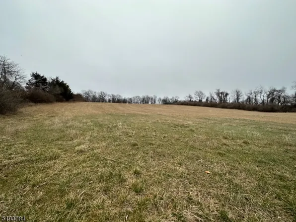 9 Pond View Ln, Hampton, NJ 08827