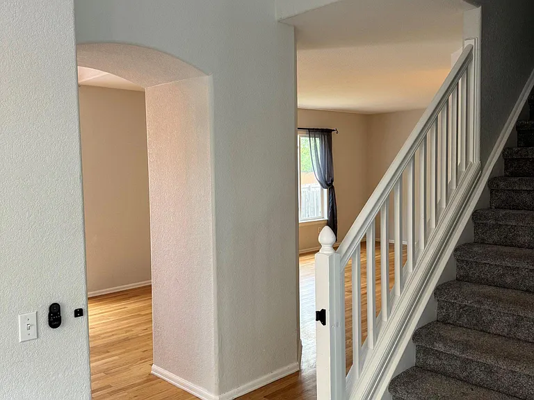 1408 Orchid Ct — Photo 8