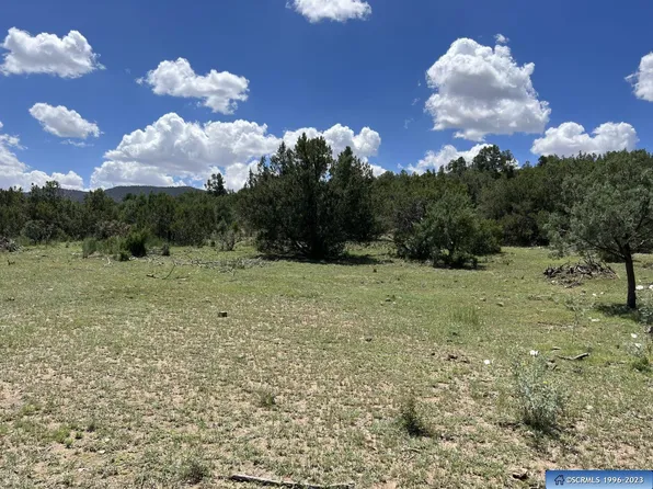 3114 Highway 35 N, Mimbres, NM 88049