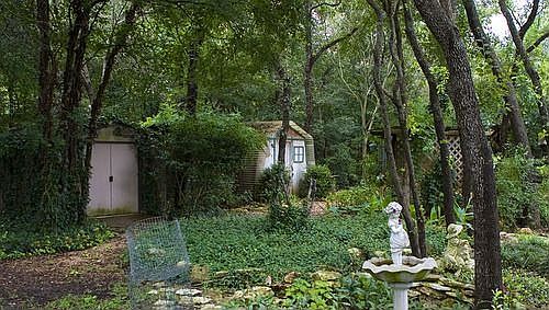More of the back yard