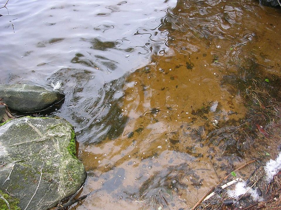 2nd image of 0 Dam Rd