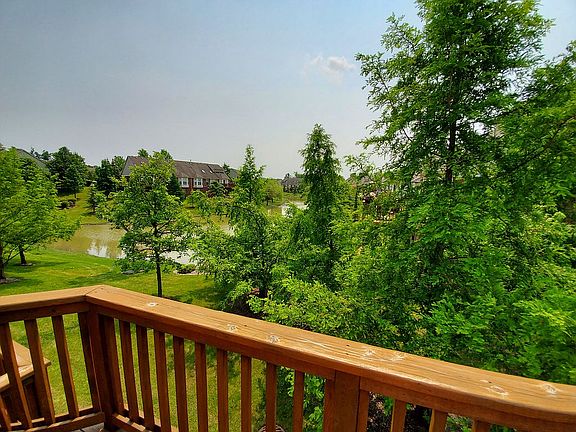 View from Deck