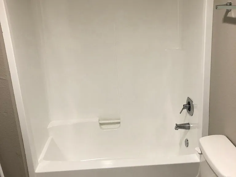 Tub and Toilet