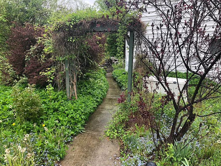 Path from parking spot to patio and front door
