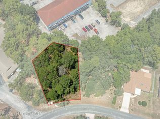 7931 Rhanbuoy Rd, Spring Hill, FL 34606