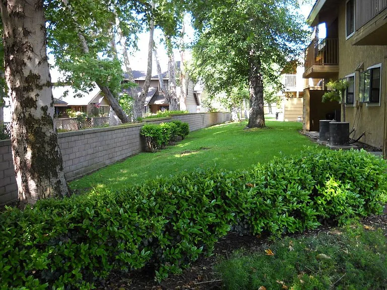 Grounds