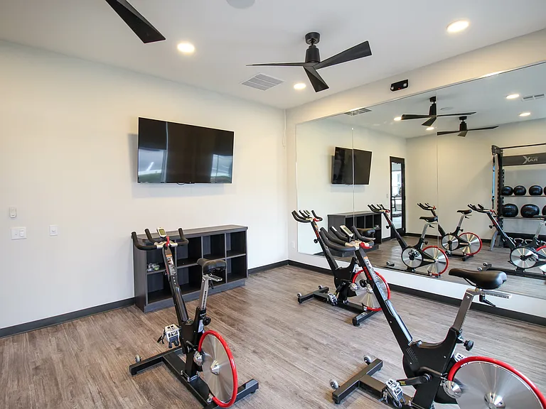 Lavina Cycle Studio