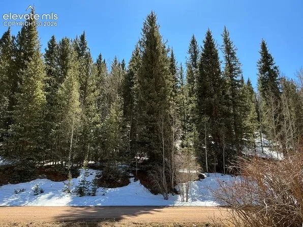 2206 Anges Dr, Cripple Creek, CO 80813