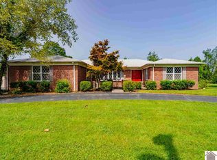 887 Riverview Dr, Ledbetter, KY 42058