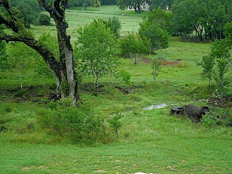 Beautiful private backyard with wet weather creek