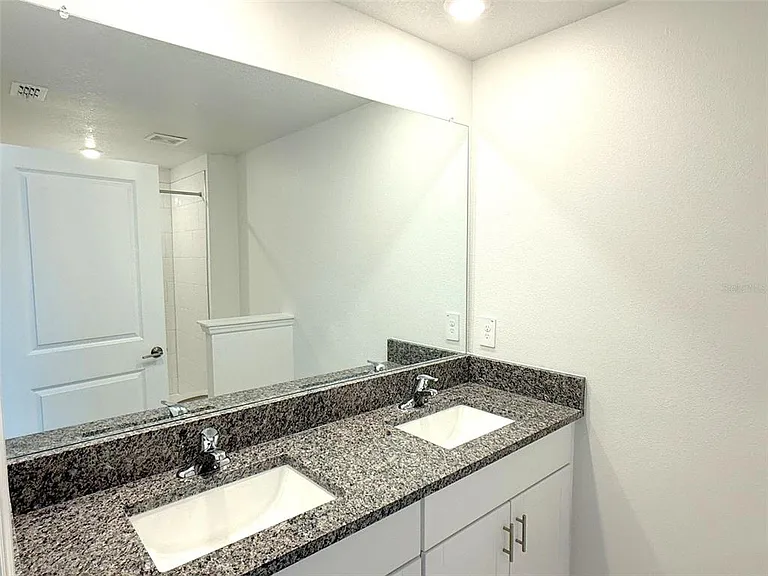32010 Spiceberry St — Photo 3