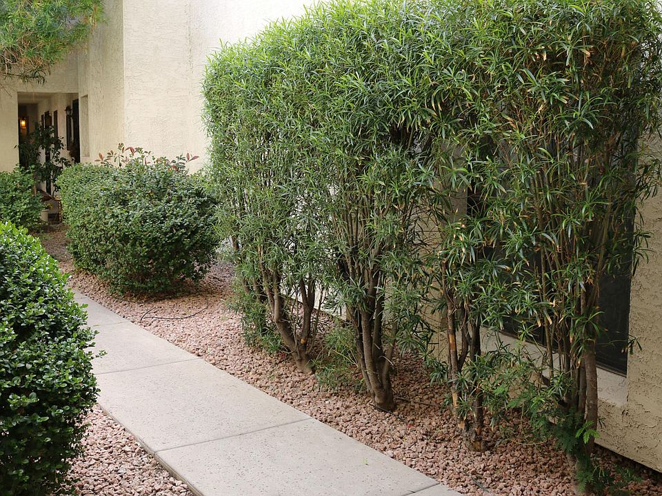 1st image of 3119 W Cochise Dr Unit 130