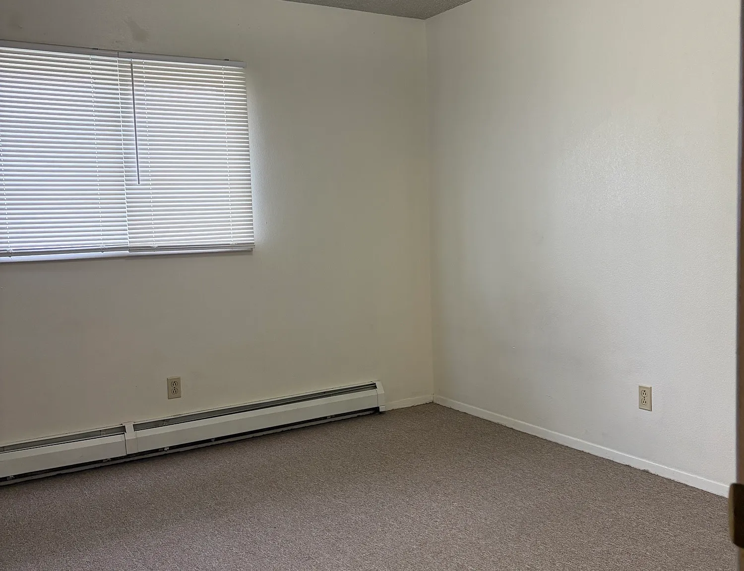 1101 Downey St — Photo 4