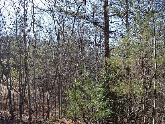 3rd image of 1 Beach Mountain Dr