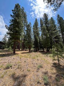 15411 Kent Dr, Truckee, CA, 96161