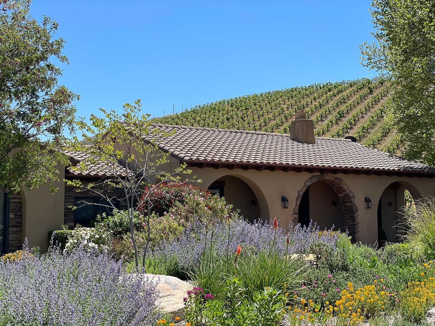 Gorgeous Wine Country 3 Bedroom 2 Bath Single Family Home Available December 2026 — Photo 4