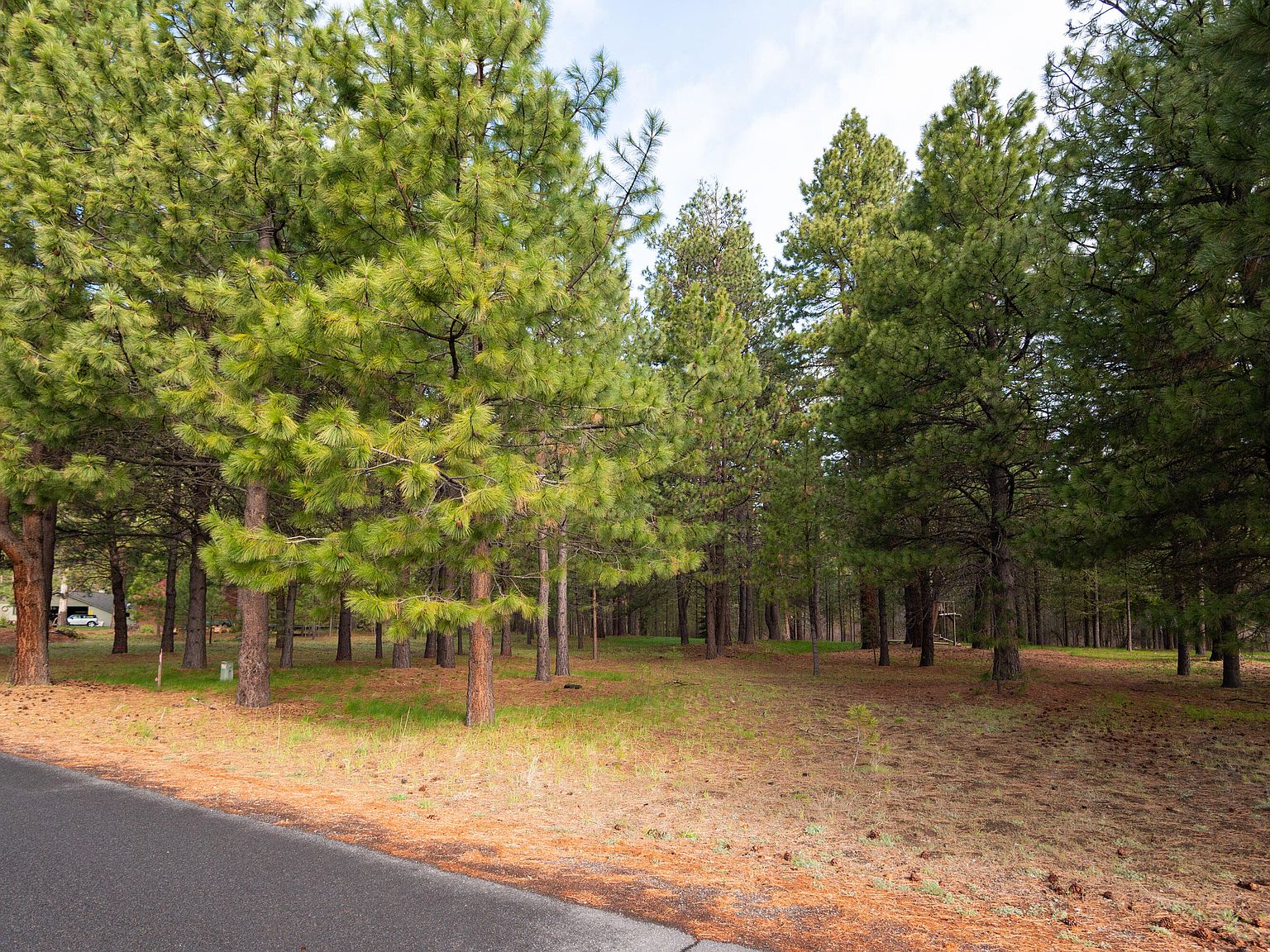 26282 SW Metolius Meadows Dr, Camp Sherman, OR 97730 Zillow