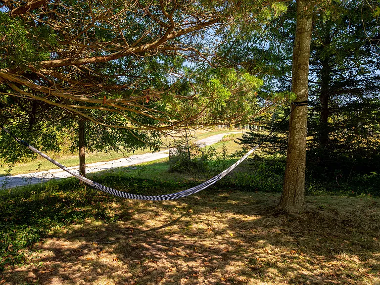 210 Manor Ln — Photo 33