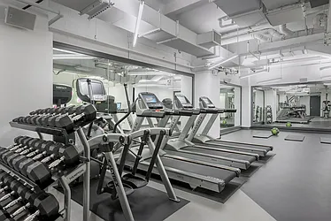 Rented by The Dermot Realty Management Company