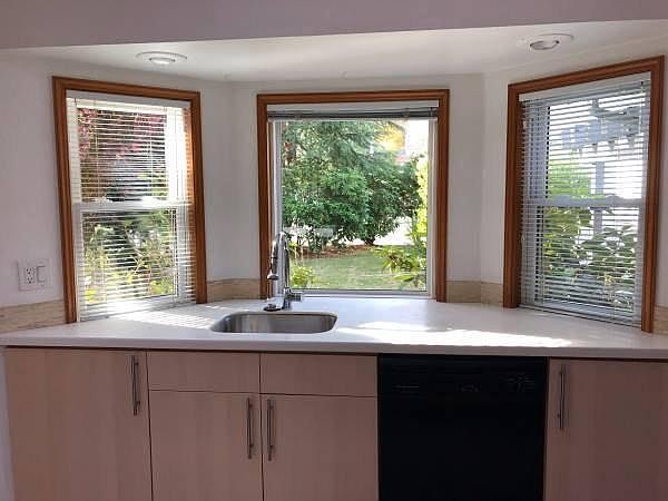 looking out kitchen window