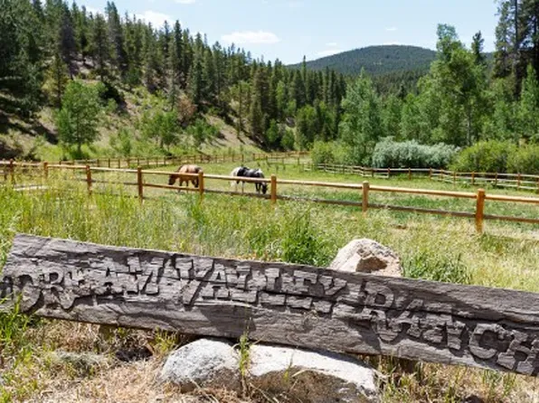 7127 Coal Creek Canyon Dr, Nederland, CO 80466
