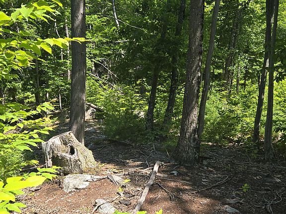 3rd image of 12 Gabardi Lane