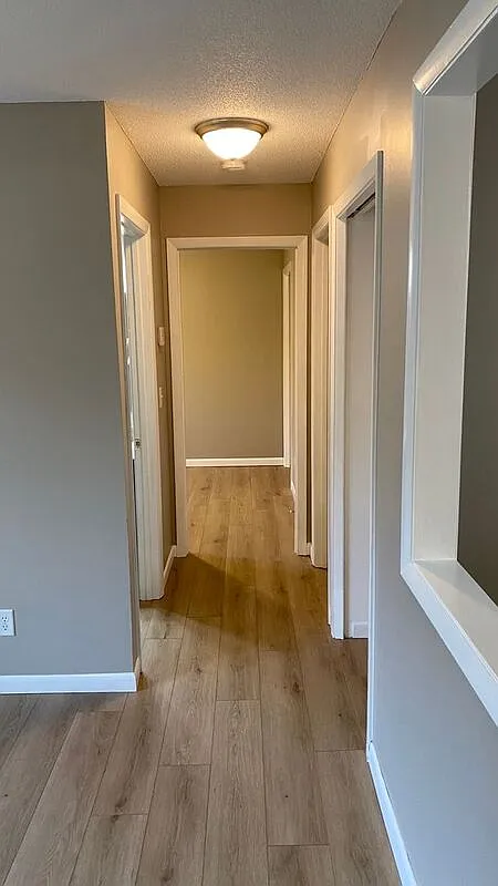 3 bed, 1.0 bath, 1100 sqft, $1,950 — Photo 4