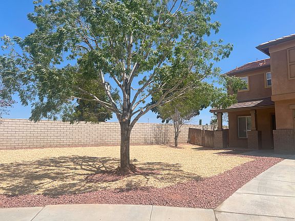 Front yard and front of house