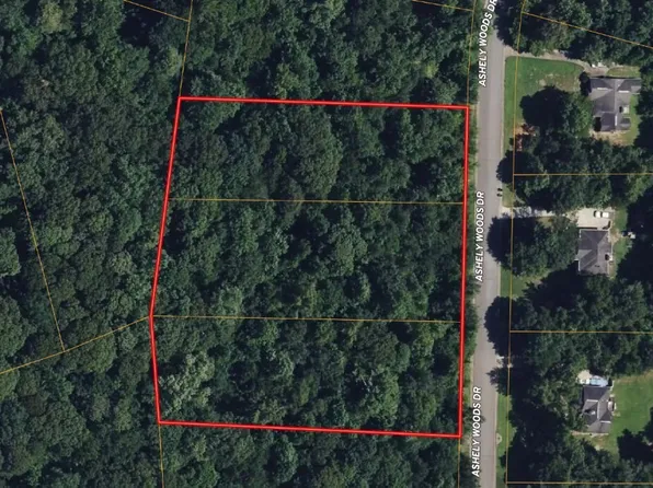 100 Ashley Woods Dr, Newnan, GA 30263