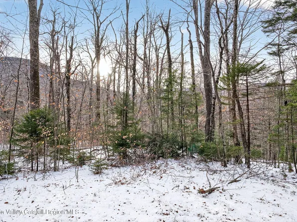 Tbd Roaring Kill Road, Elka Park, NY 12427