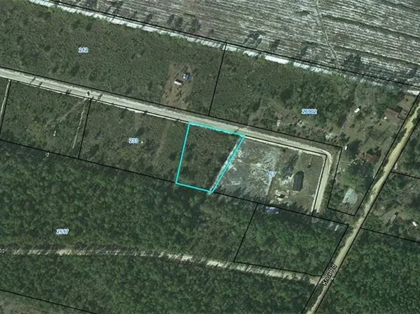 0 Marion Dr, Nahunta, GA 31553