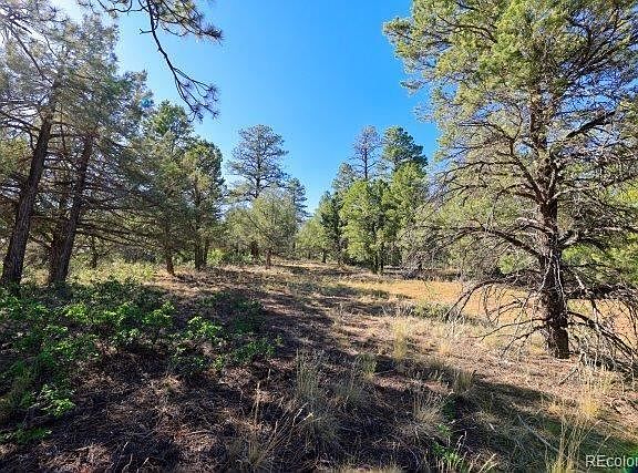 2nd image of 99 Cheyenne Dr