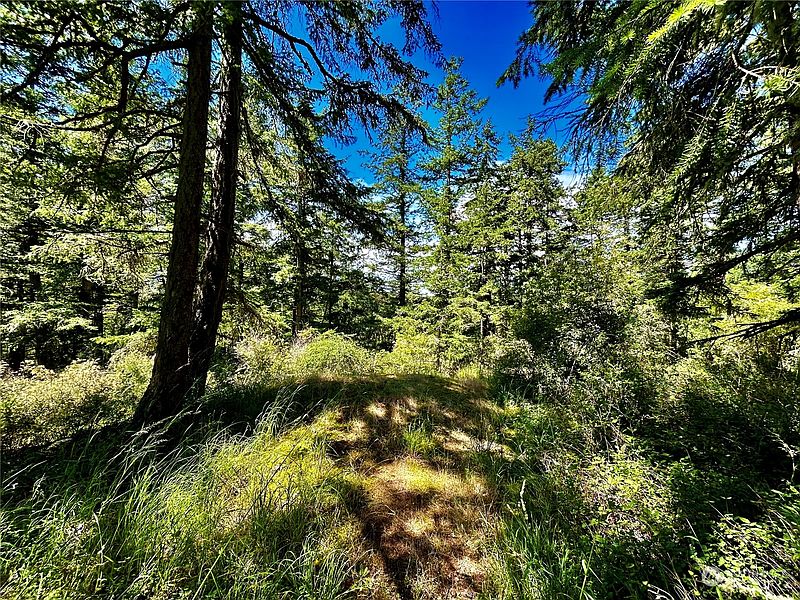 2nd image of 0 Salmonberry Lane