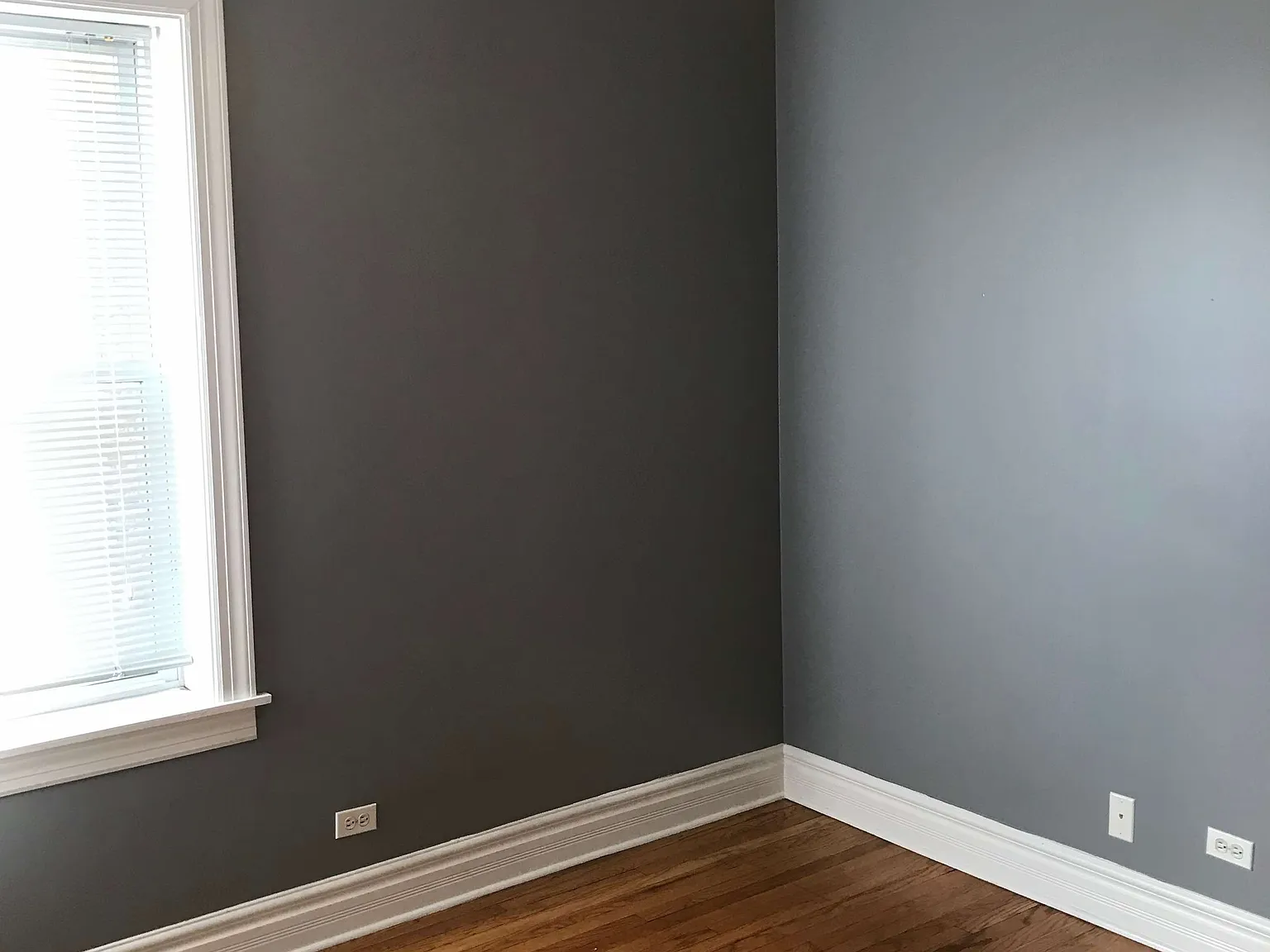 1 bed, 650 sqft, $1,745 — Photo 4